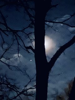 IMG_6487.jpeg