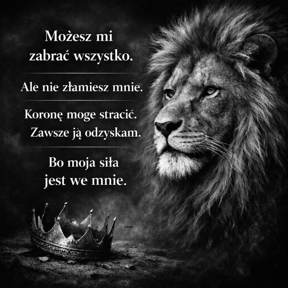 FB_IMG_1769860208357.jpg - MusicIsTheStrongersFormOfMagic