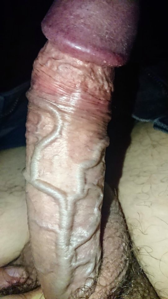 11239.jpg - Falcon96