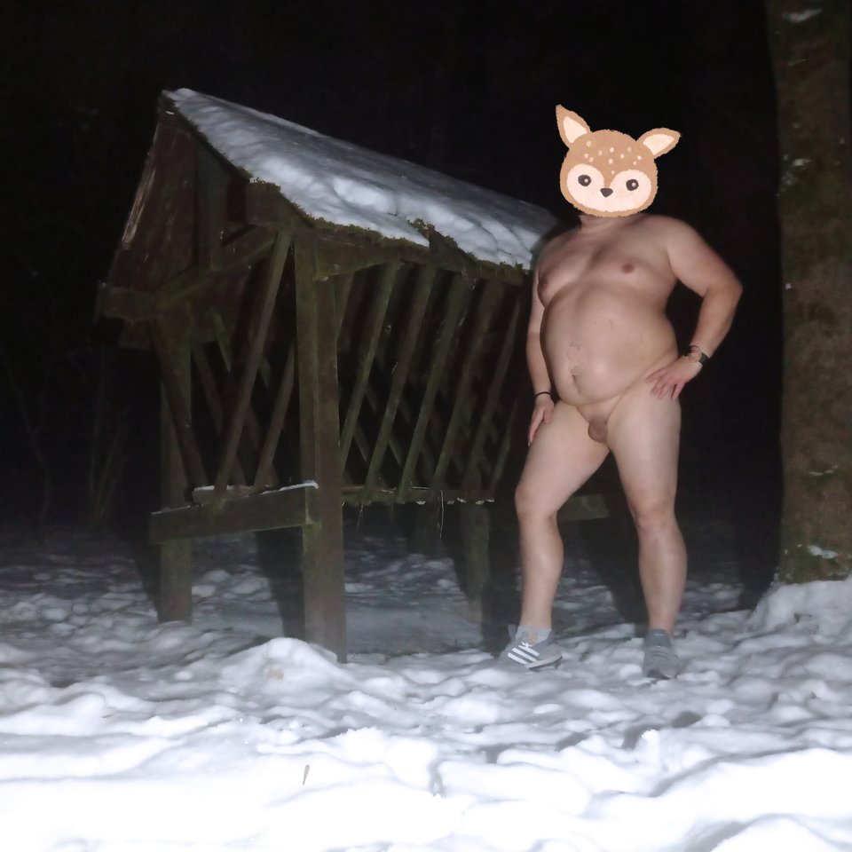 1000051532.jpg - 1983marcello