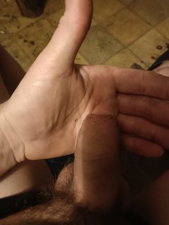 3565.jpg