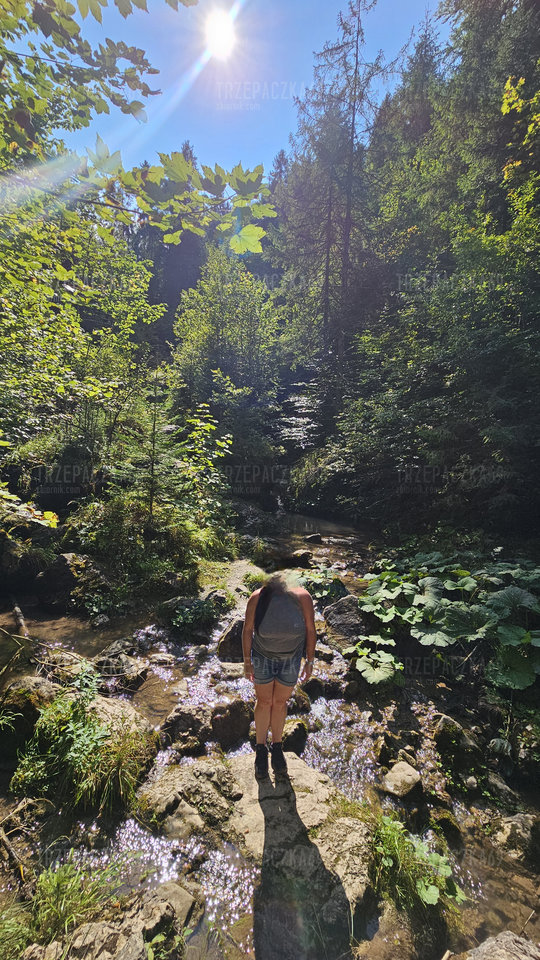 1000071951.jpg - Trzepaczka69