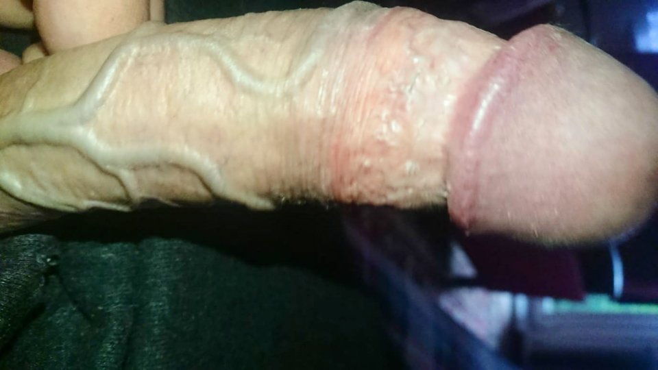 11281.jpg - Falcon96