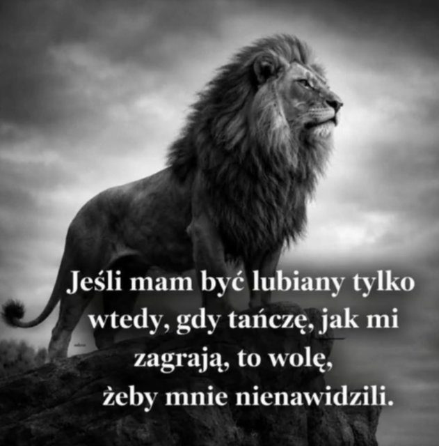 Screenshot_20260201_093517_Messenger.jpg - MusicIsTheStrongersFormOfMagic