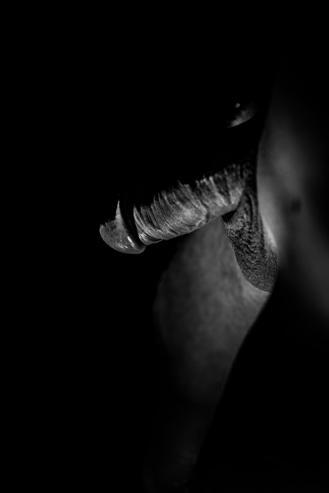 IMG_8349.jpg - sexiiaart