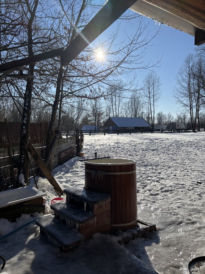 IMG_3346.jpeg - Lucy43