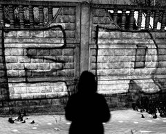 IMG_6537.jpeg