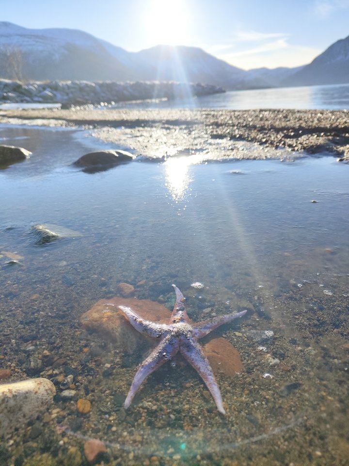 IMG20260201122229.jpg - W_72