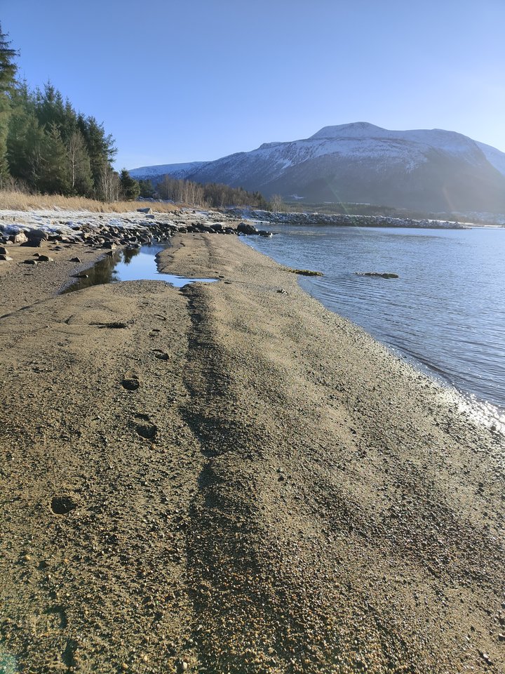 IMG20260201121936.jpg - W_72