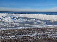 20260201_142707.jpg