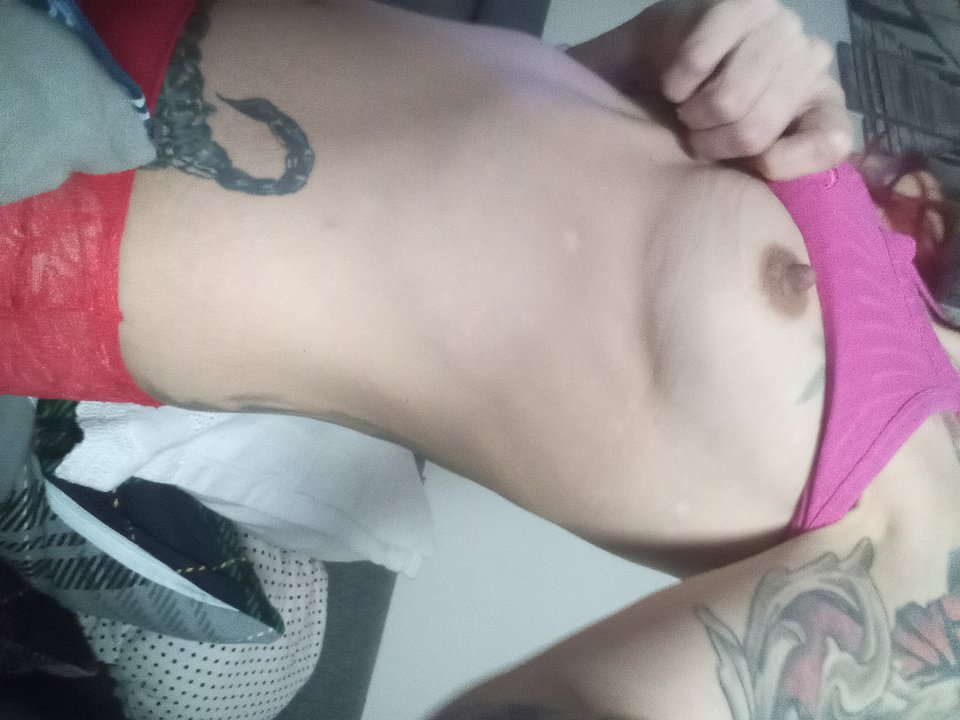 IMG_20260201_201435.jpg - Czarnalolka