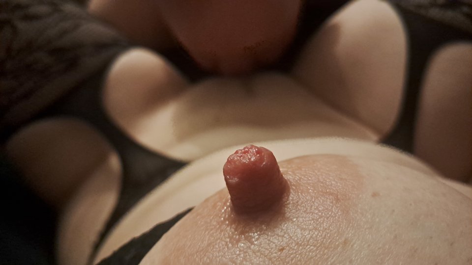 1000055988.jpg - myszkakotekbydg