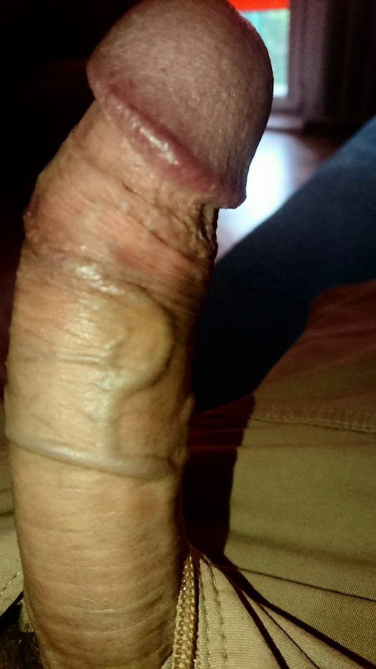 11367.jpg - Falcon96