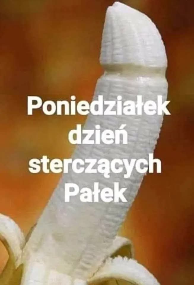 FB_IMG_1770036943428.jpg - pararealna72