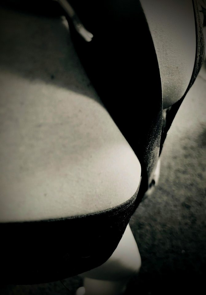 1000018955.jpg - BearandBeauty