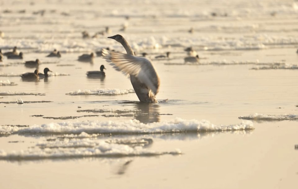 1000028677.jpg - TakijaCT