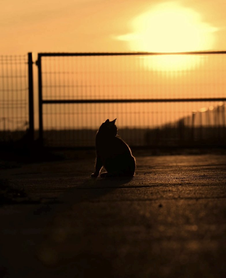 1000028681.jpg - TakijaCT