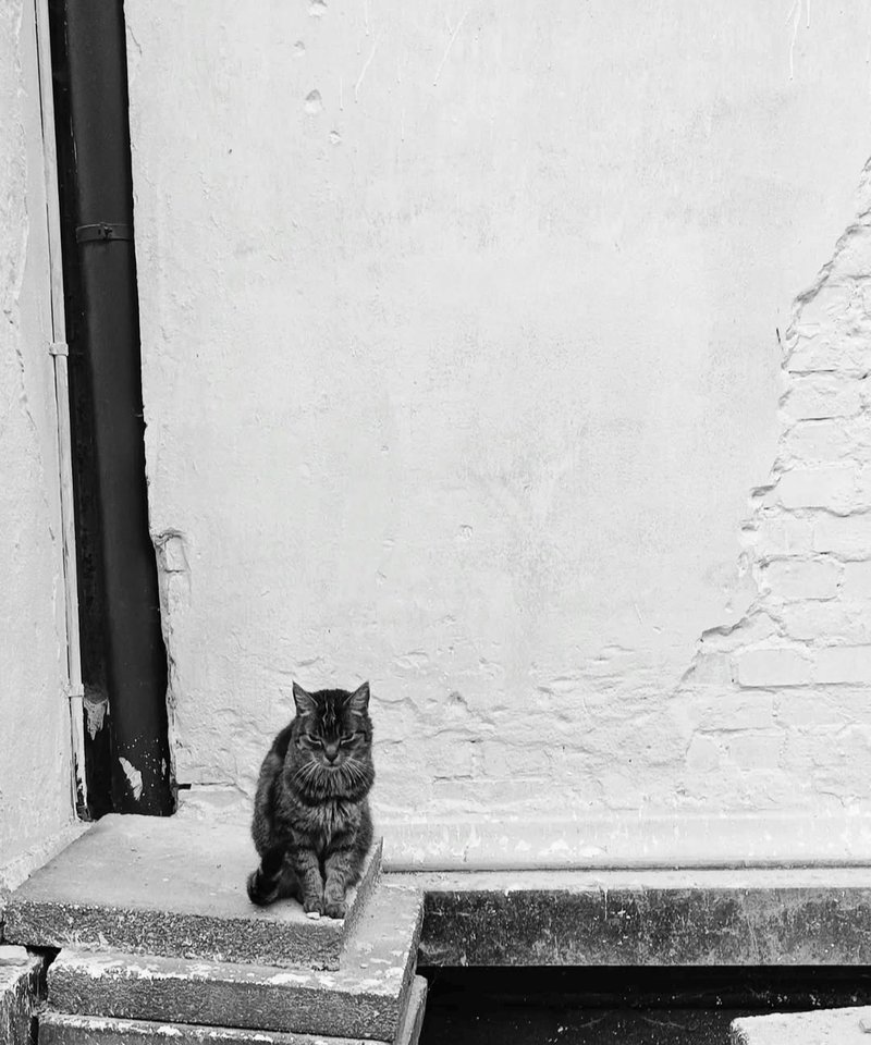 1000028683.jpg - TakijaCT