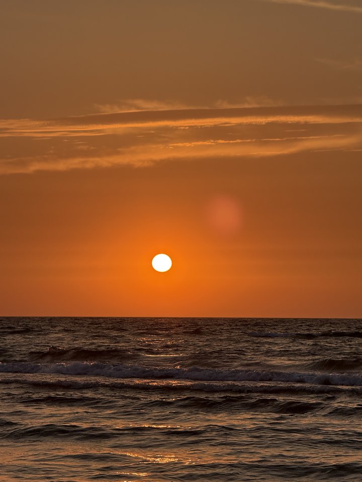 IMG_1029.jpeg - DarioDar