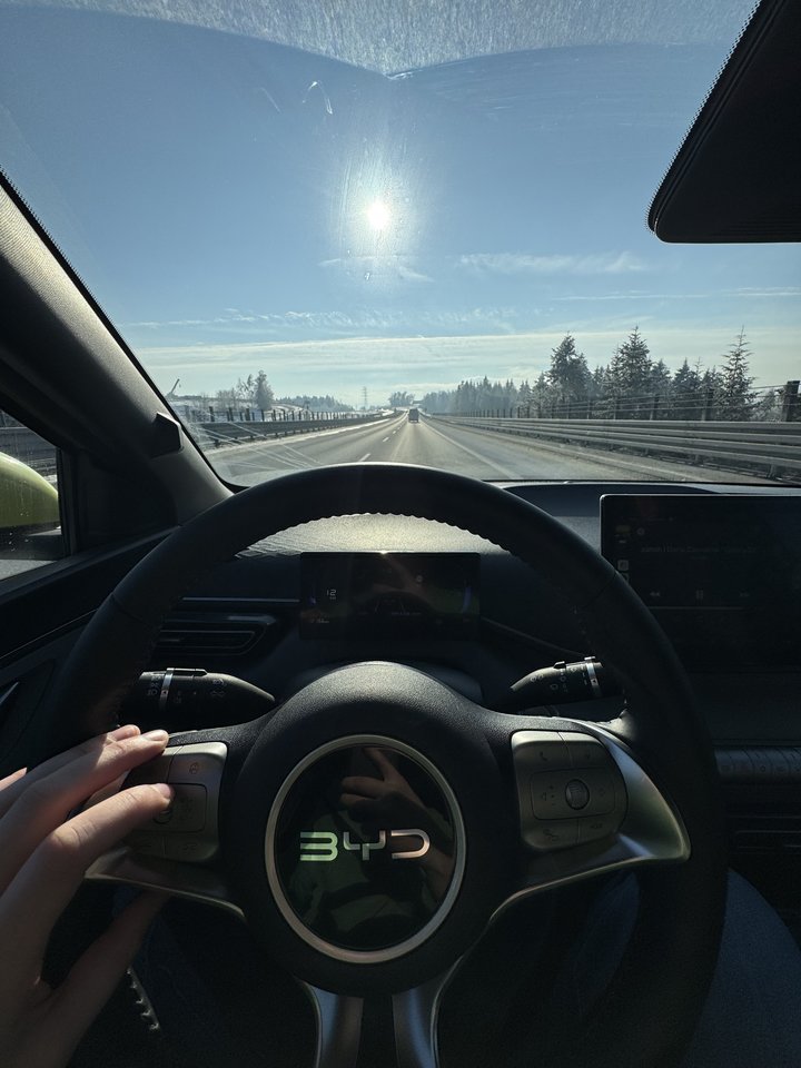 IMG_8031.jpeg - MattVegass