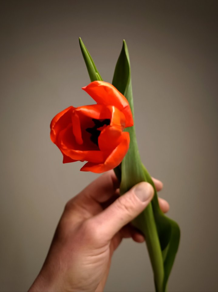 gift.jpg - PerAmore