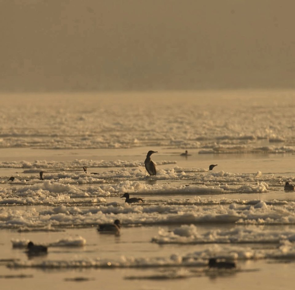 1000028695.jpg - TakijaCT