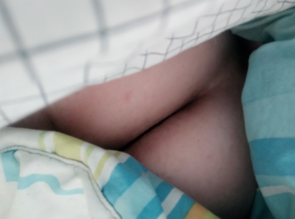 IMG_20210418_154042.jpg - Pawcio_waw