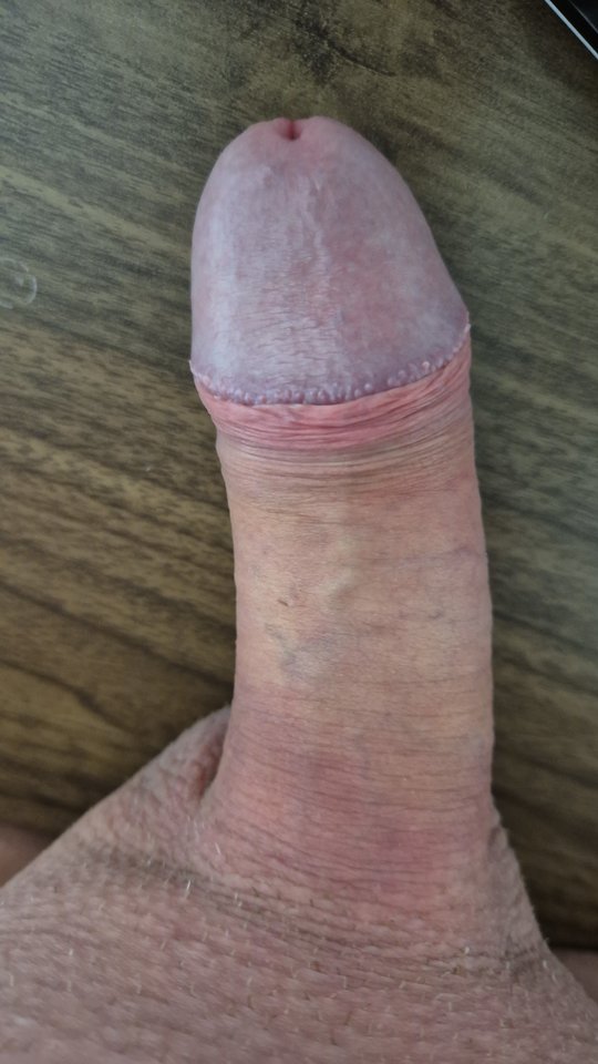 IMG-20260203-WA0039.jpeg - gepar1234