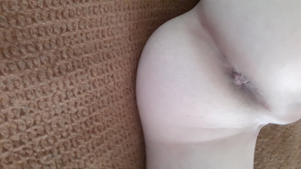 1000003823.jpg - wawik36