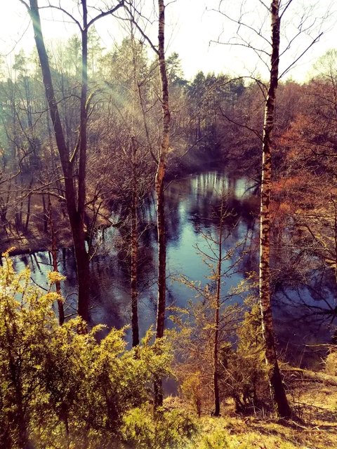 1755365733463.jpg - Nocture