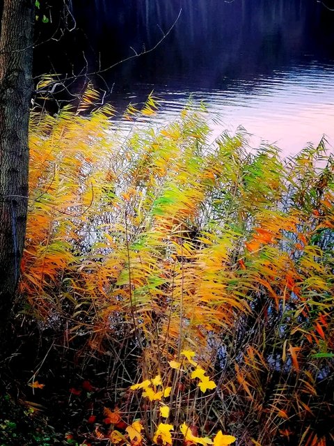 1755365657560.jpg - Nocture