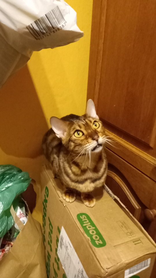 1000000578.jpg - PanArgument