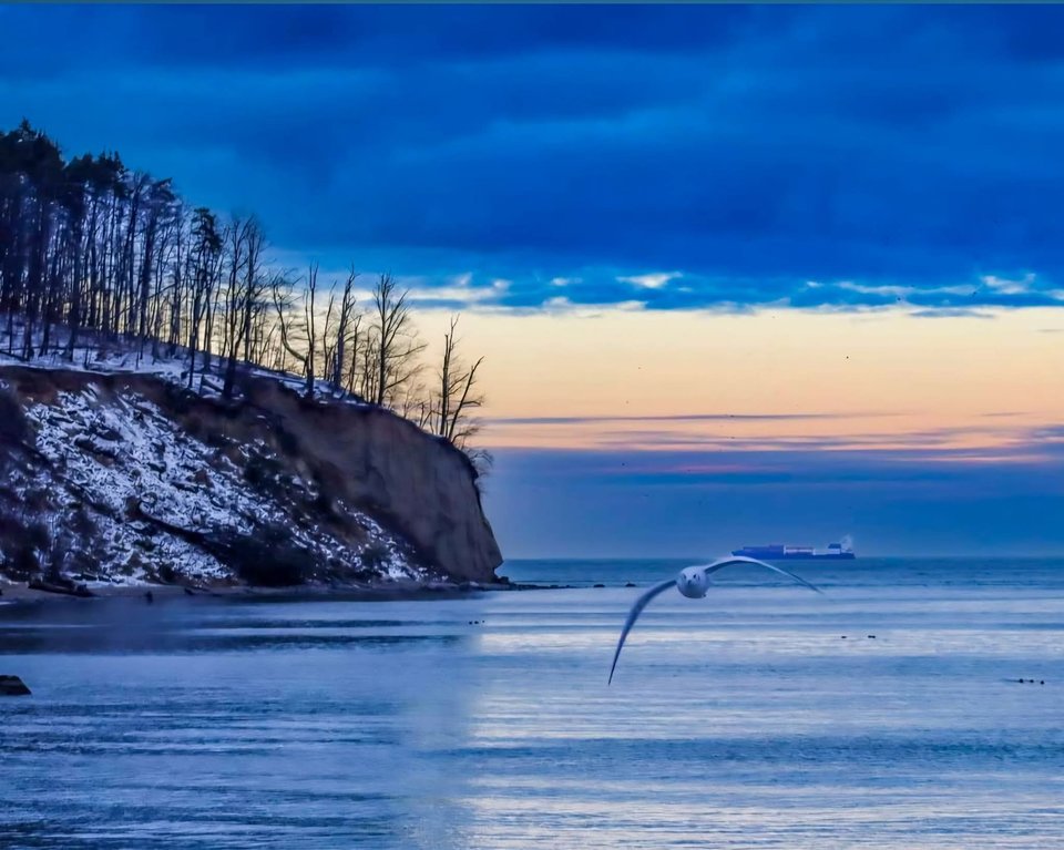 FB_IMG_1769737527515.jpg - Szaleni7169