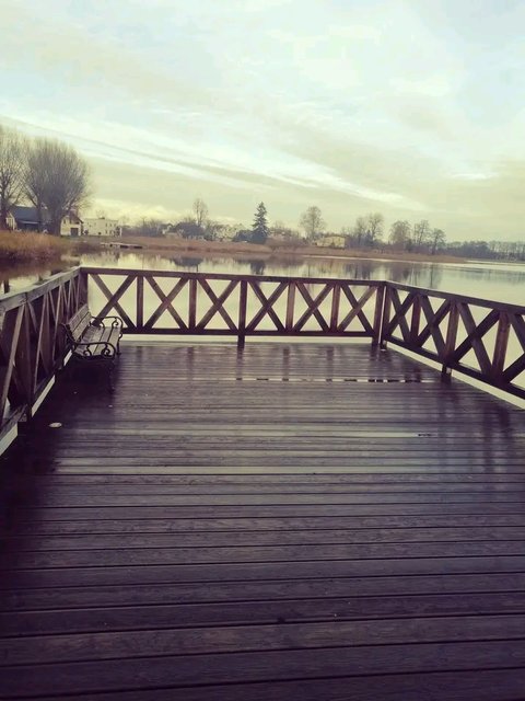 1755365650844.jpg - Nocture