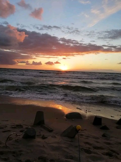 1755365663206.jpg - Nocture