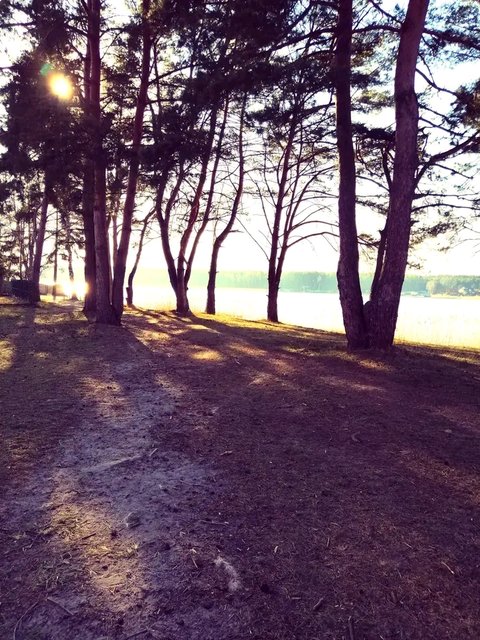 1755365641239.jpg - Nocture