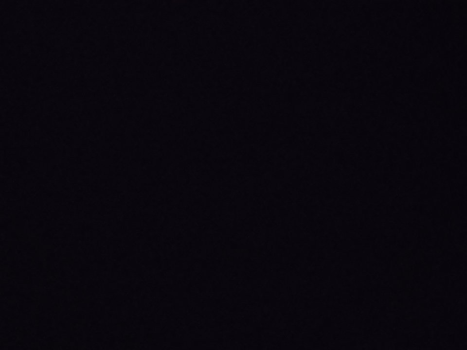 1000036335.jpg - Pan8111