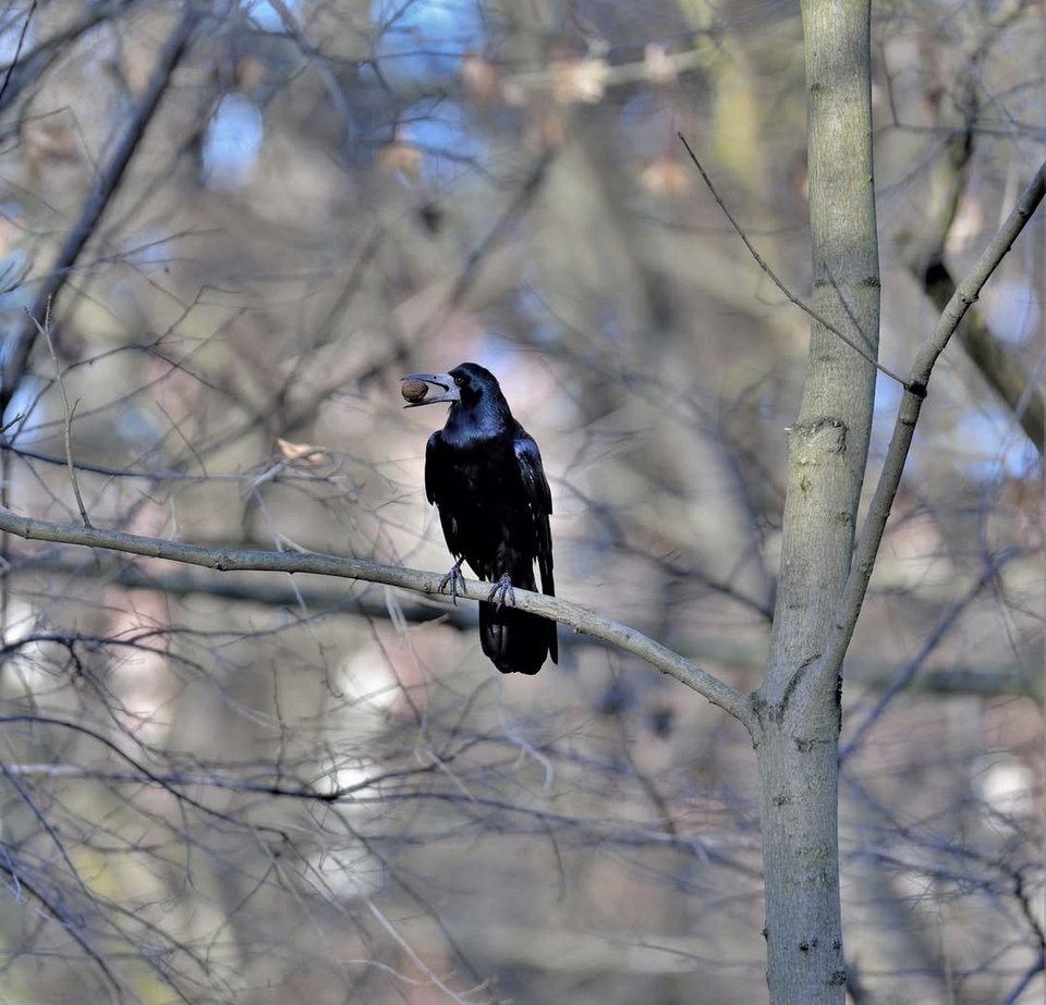 1000028829.jpg - TakijaCT