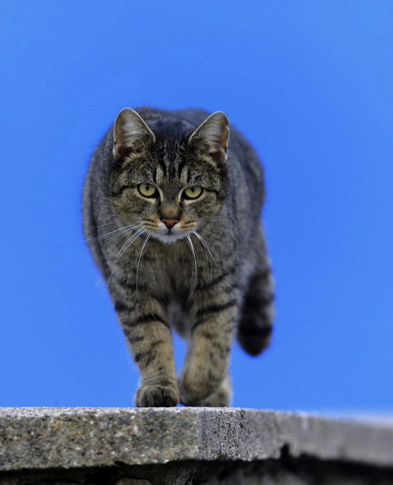 1000028821.jpg - TakijaCT