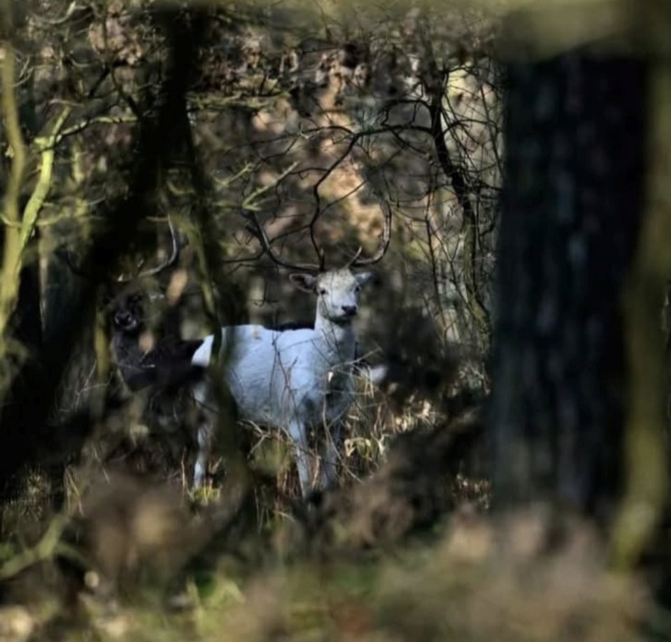 1000028839.jpg - TakijaCT