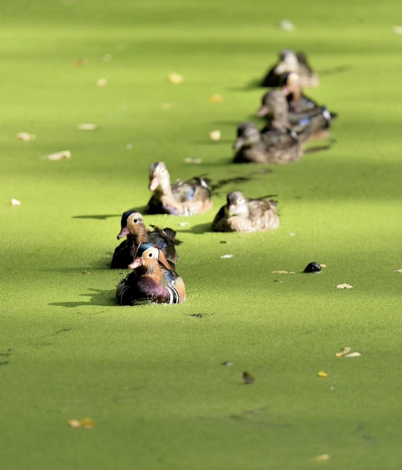 1000028823.jpg - TakijaCT