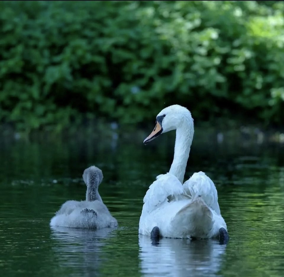 1000028837.jpg - TakijaCT