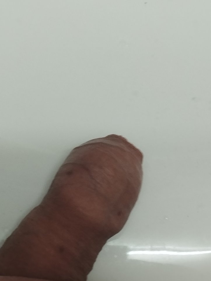 1000014905.jpg - ibisiatko
