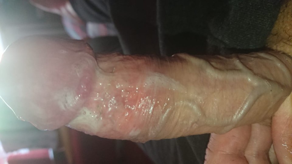 11583.jpg - Falcon96