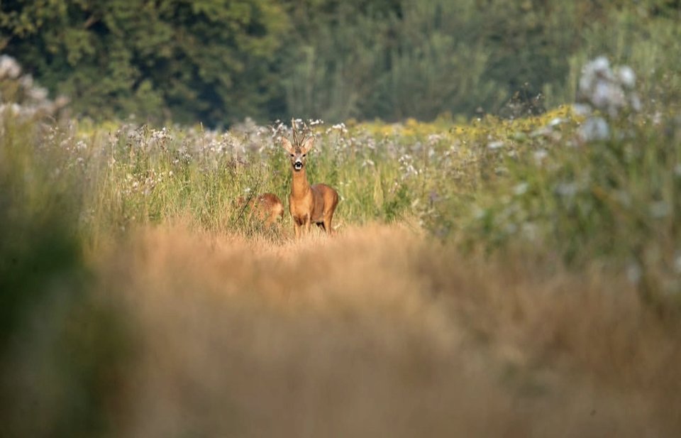 1000028870.jpg - TakijaCT