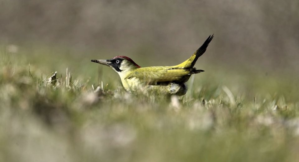 1000028864.jpg - TakijaCT