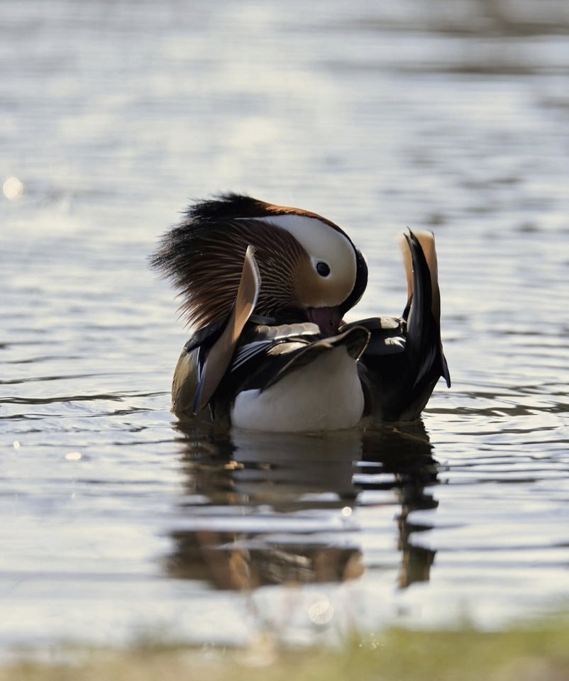 1000028862.jpg - TakijaCT