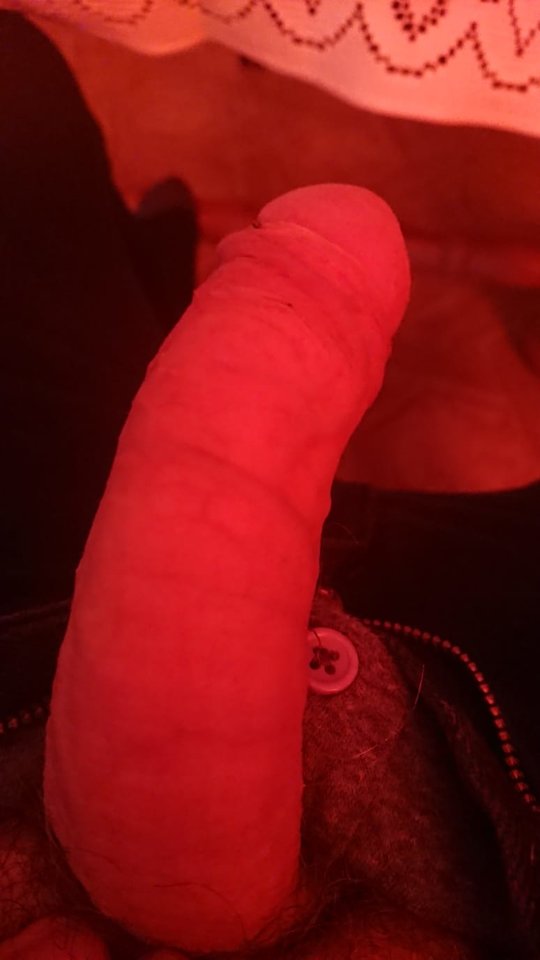 11592.jpg - Falcon96