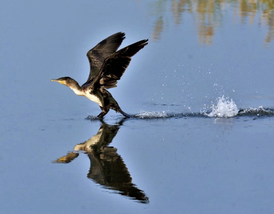 1000028922.jpg - TakijaCT