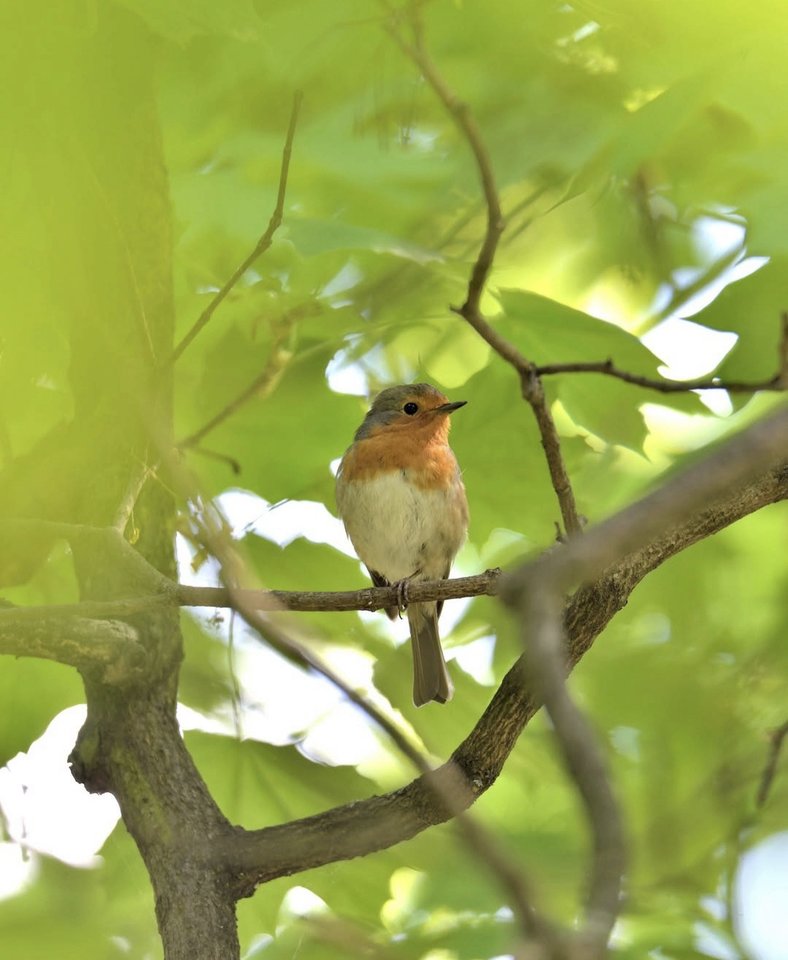 1000028906.jpg - TakijaCT